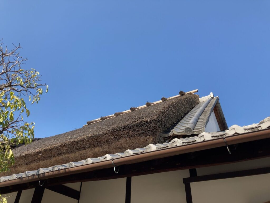 武蔵野美術大学奈良寮の大和棟草葺屋根