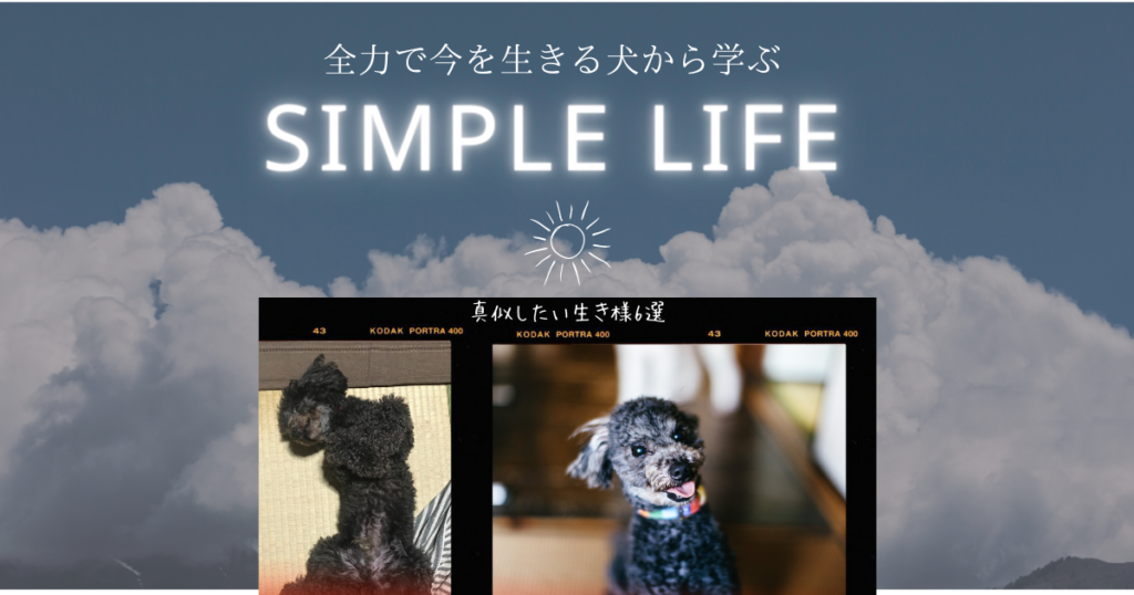 犬のシンプルライフ