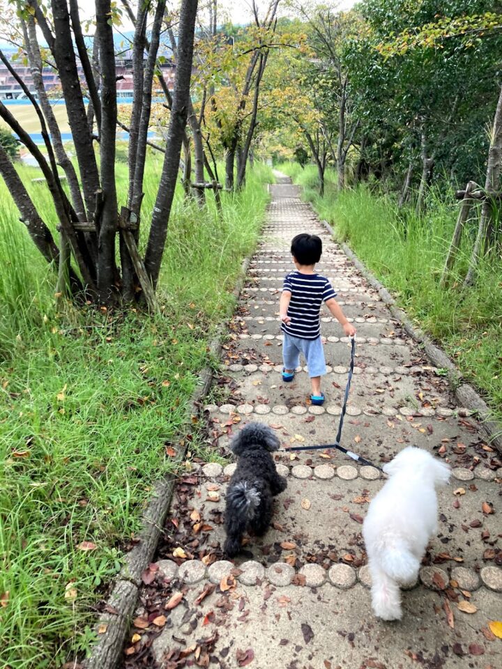 犬と子供の散歩