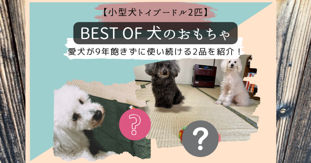 犬のおもちゃ紹介