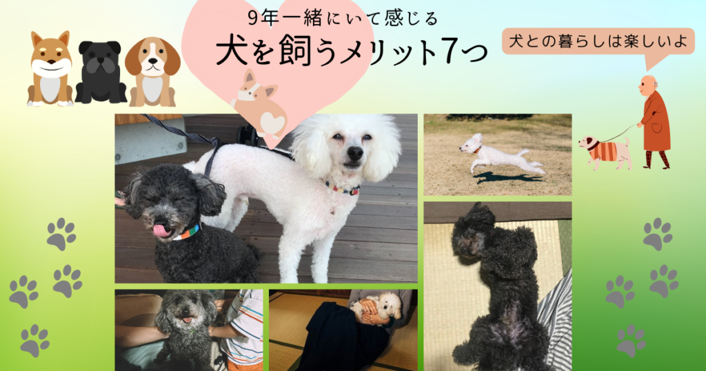 犬を飼うメリット