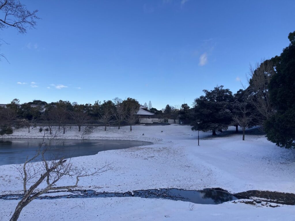 大仏池の雪景色