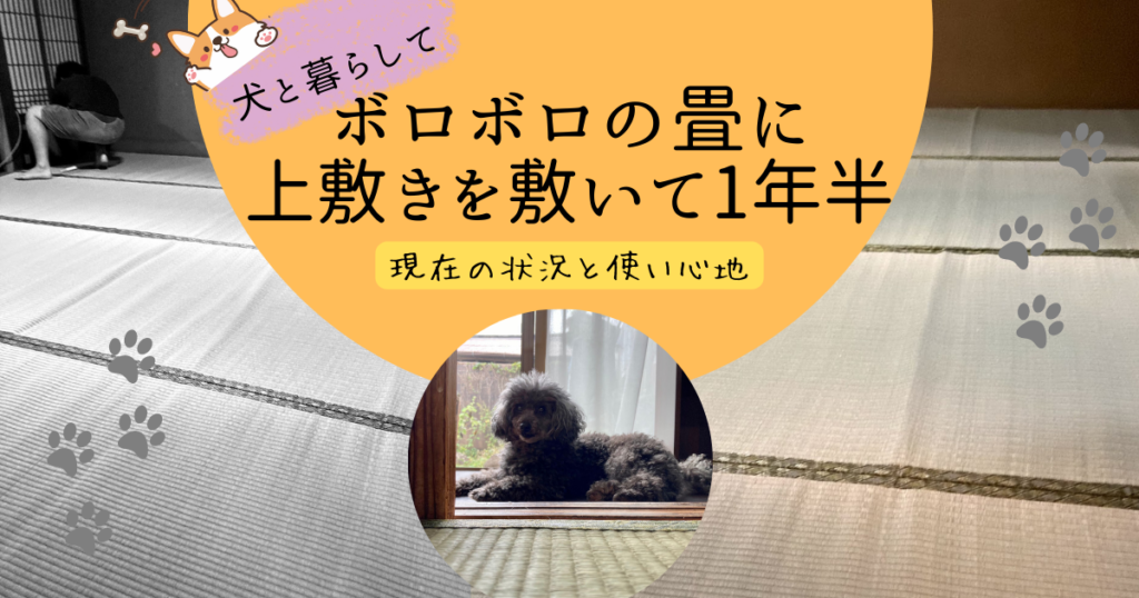 上敷きを敷いた結果