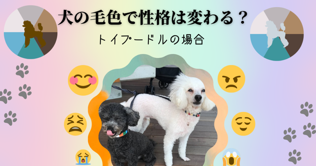 犬の毛色による性格の違い