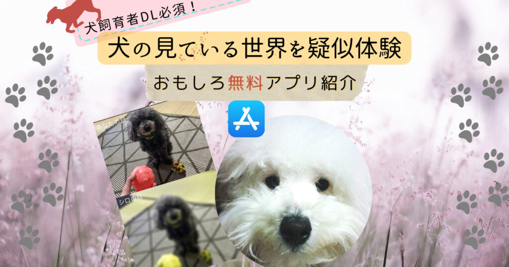犬の目アプリ紹介