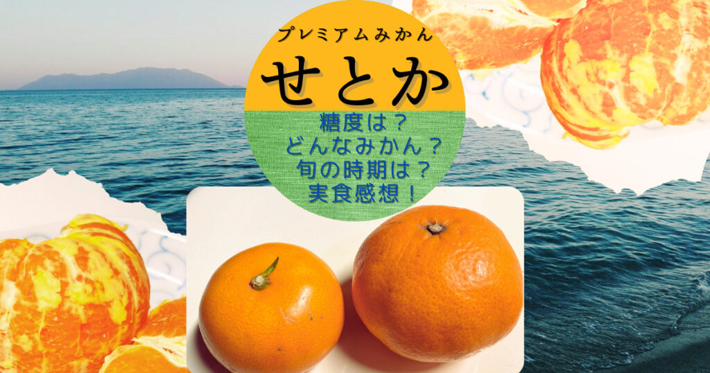 せとか紹介レビュー