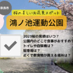 鴻ノ池運動公園のお花見情報2023