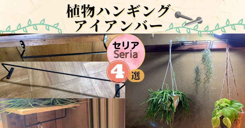 セリアハンギングバー植物
