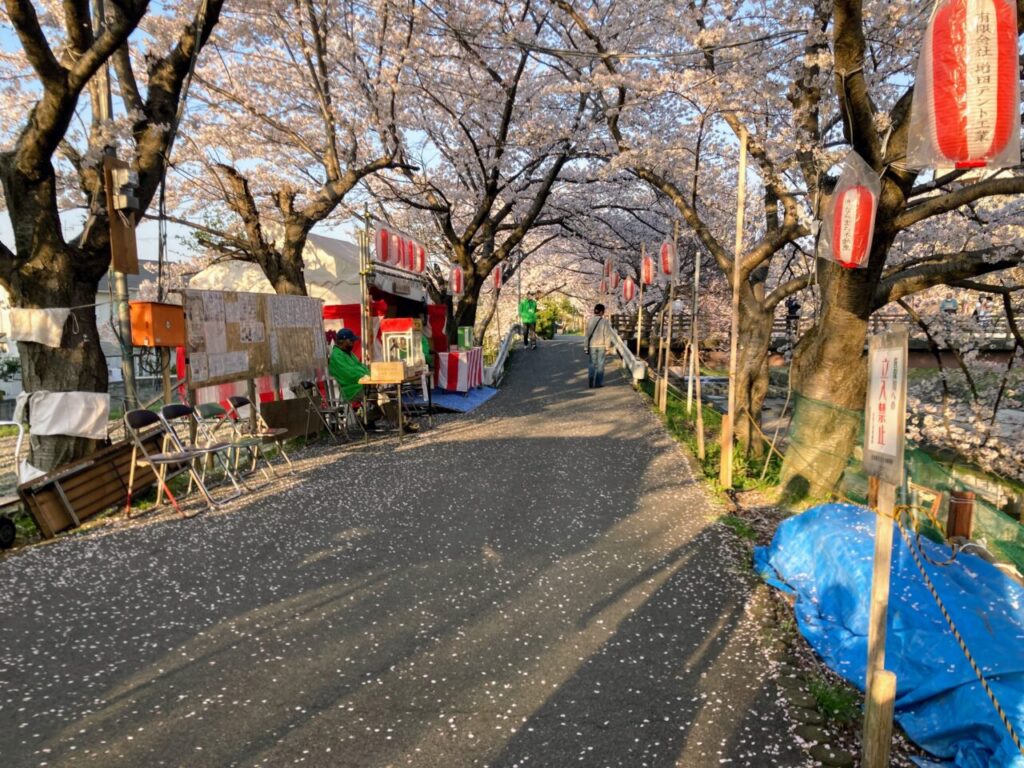 川路桜祭り本部。ポップコーン販売