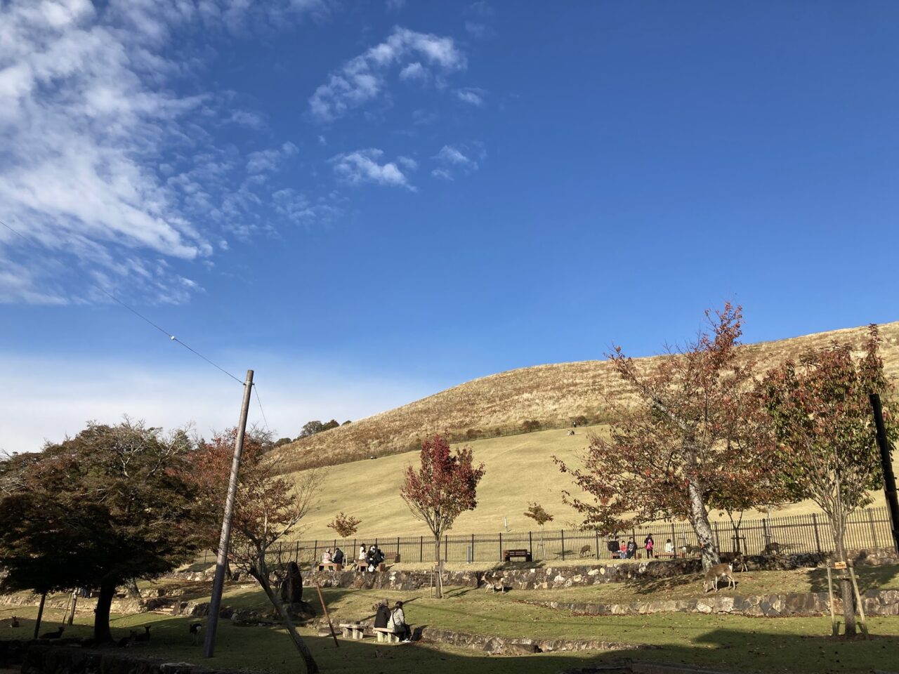 若草山