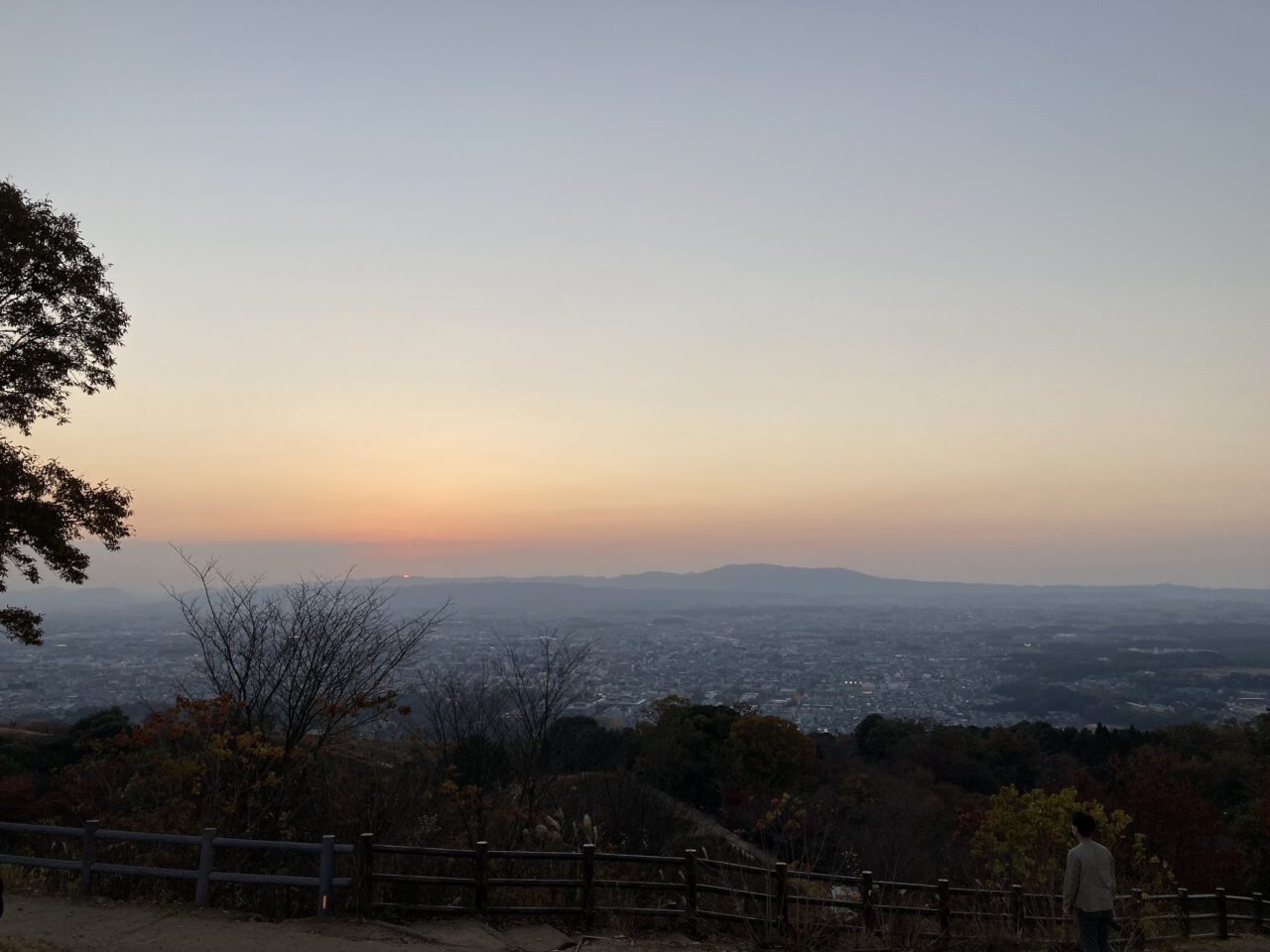 若草山夕景