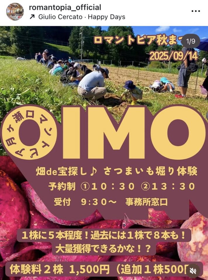 芋掘り画像