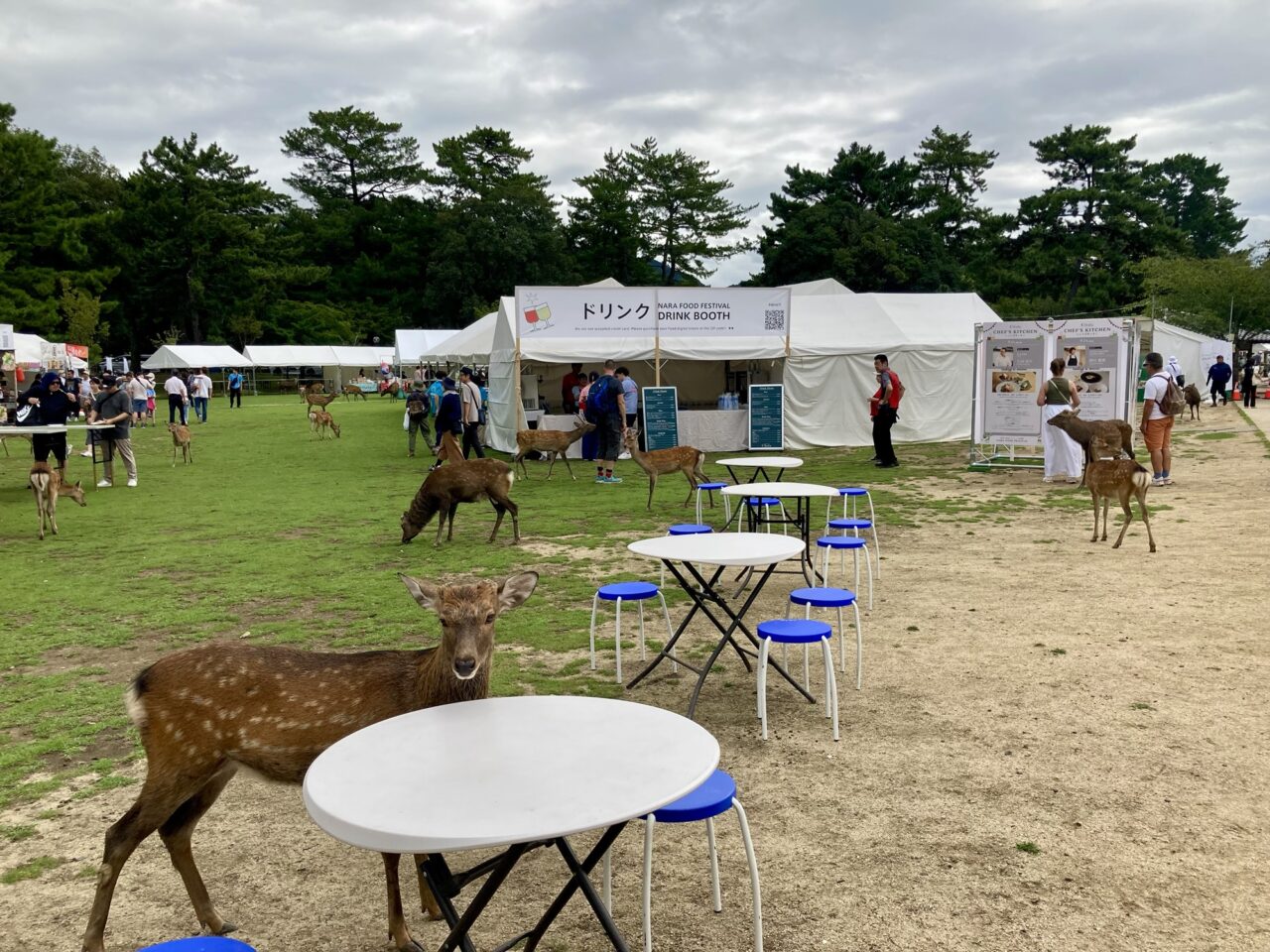 会場の様子午前中