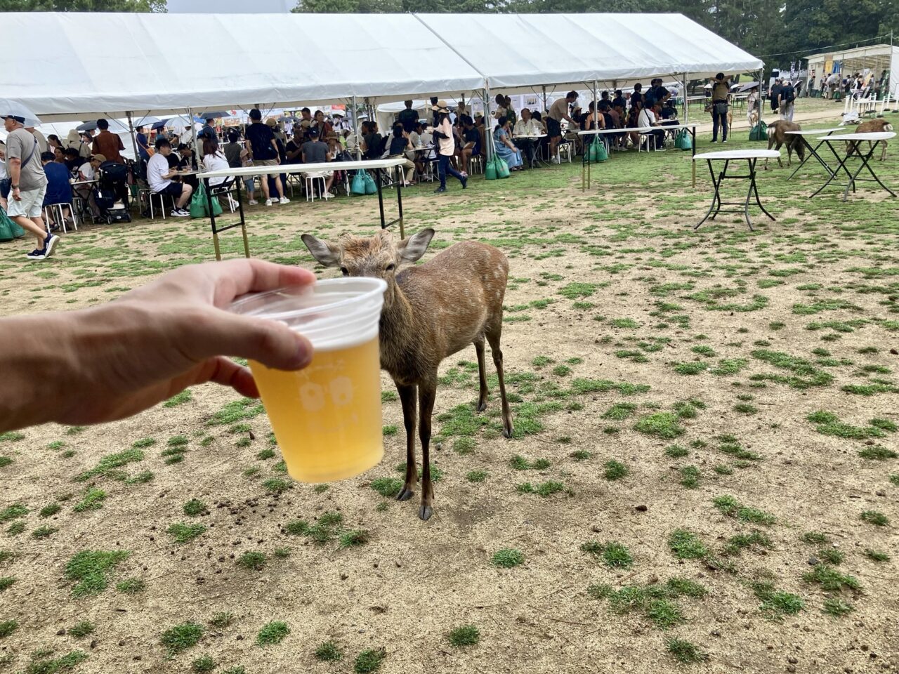 大和醸造ビール