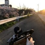 ベビーカーに乗る子供