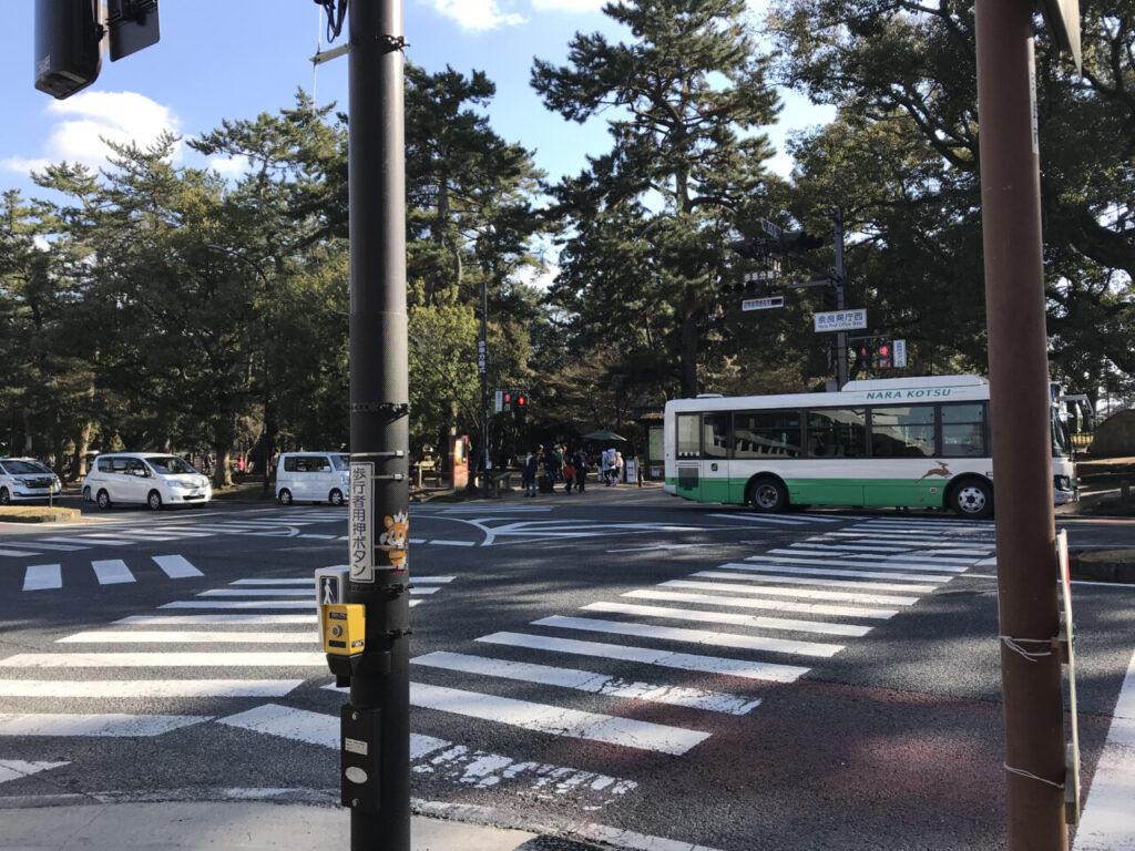 奈良交通バスと道路