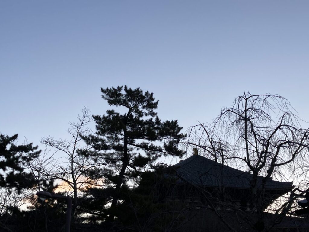 大仏殿裏手の風景