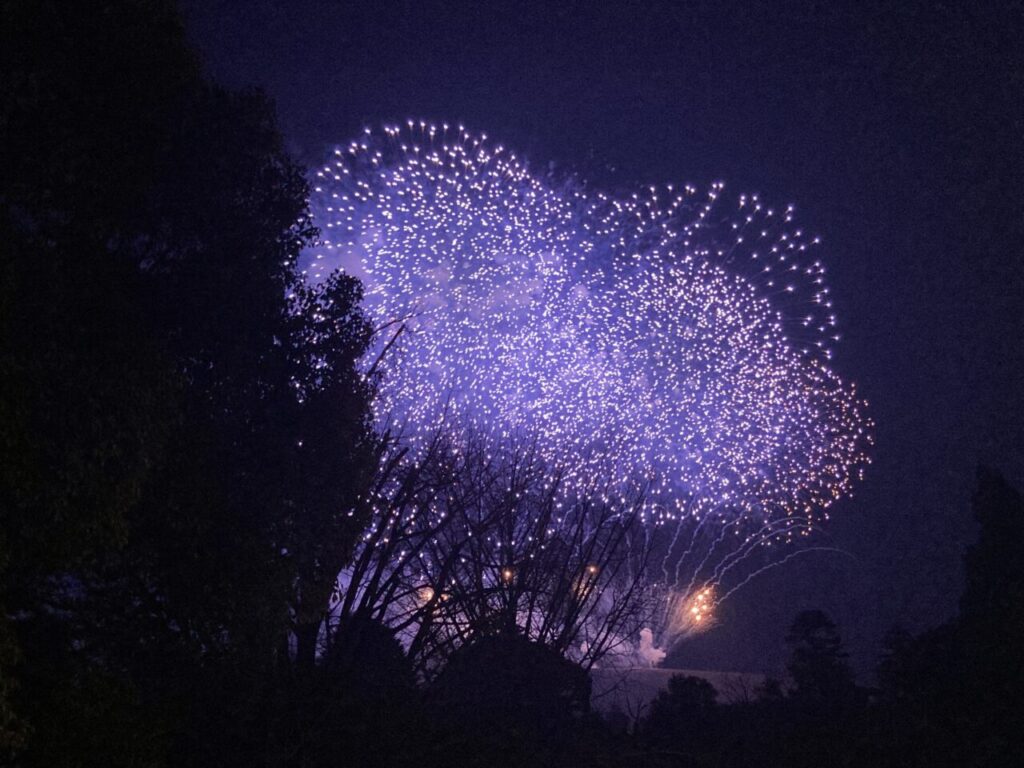 奈良公園バースデー花火