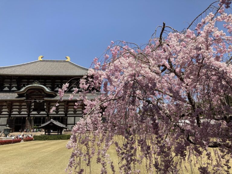 奈良のこと
