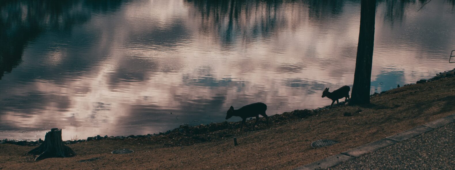 奈良の古民家暮らしのメイン画像