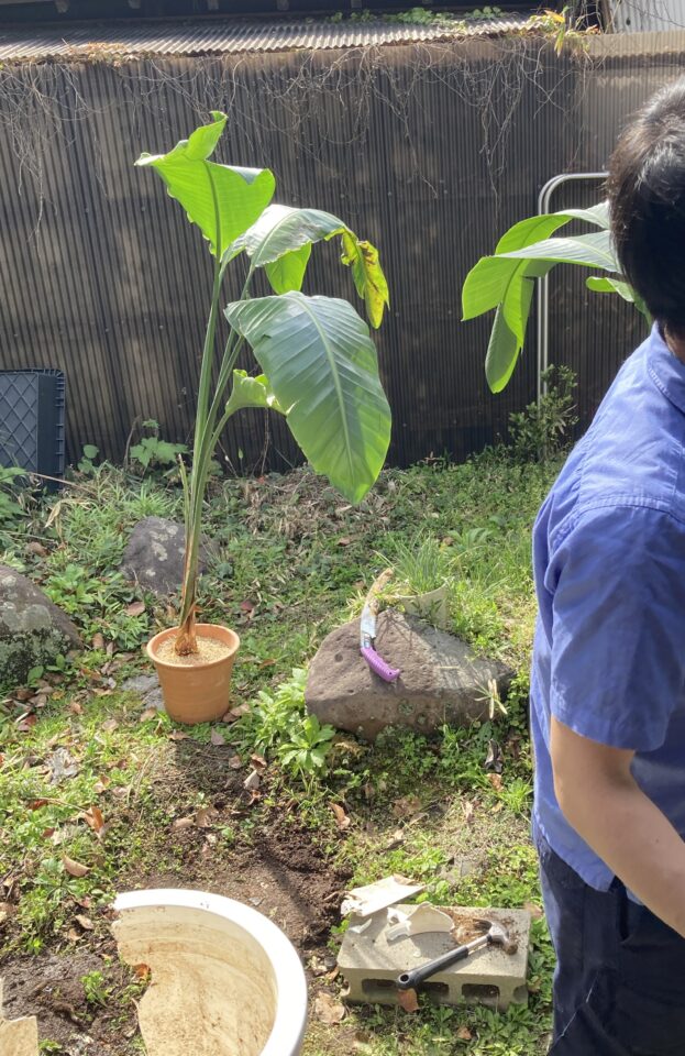 土を足して調整